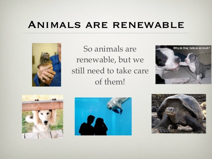 Animals Are A Renewable Resource