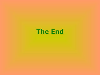 The End 