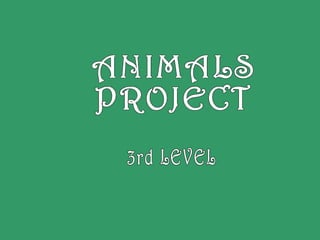 ANIMALS PROJECT 3rd LEVEL 