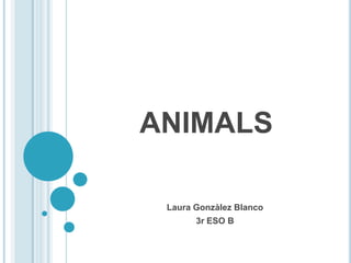 ANIMALS Laura Gonzàlez Blanco 3r ESO B 