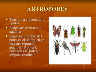 ARTRÒPODES  Tenen una coberta dura i potes. Poden ser terrestres o aquàtics. Segons el nombre des potes es classifiquen en: insectes (6potes), aràcnids (8 potes), crustacis (10 potes) i milpeus (moltes). 