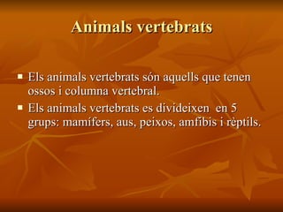 Animals vertebrats Els animals vertebrats són aquells que tenen ossos i columna vertebral. Els animals vertebrats es divideixen  en 5 grups: mamífers, aus, peixos, amfibis i rèptils.  