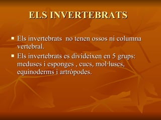 ELS INVERTEBRATS  Els invertebrats  no tenen ossos ni columna vertebral. Els invertebrats es divideixen en 5 grups: meduses i esponges , cucs, mol·luscs, equinoderms i artròpodes. 