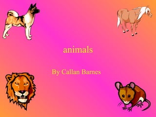 animals By Callan Barnes   