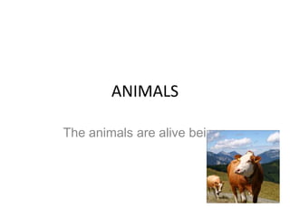 ANIMALS

The animals are alive beings
 