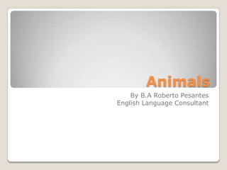 Animals
    By B.A Roberto Pesantes
English Language Consultant
 