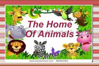 The Home Of Animals 