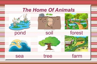 The Home Of Animals pond  soil  forest sea  tree  farm 