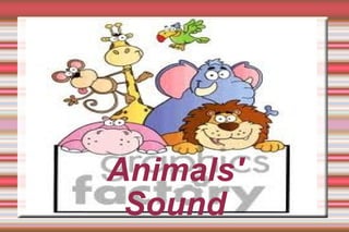 Animals' Sound 