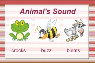 Animal's Sound crocks  buzz  bleats 