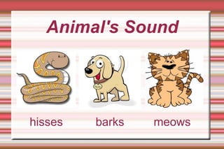 hisses  barks  meows Animal's Sound 