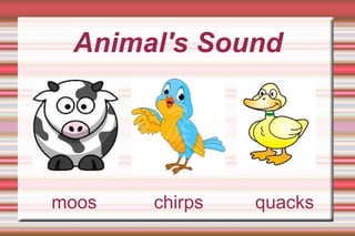 moos  chirps  quacks Animal's Sound 