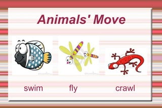 Animals' Move swim  fly  crawl 