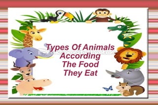 Types Of Animals According The Food They Eat 
