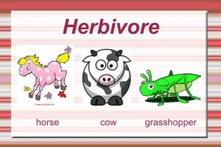 Herbivore horse  cow  grasshopper 