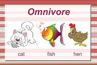 Omnivore cat  fish  hen 