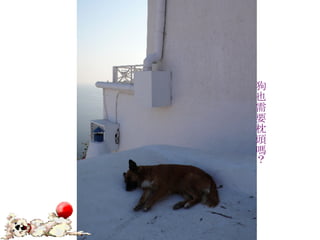 狗也需要枕頭嗎？ 