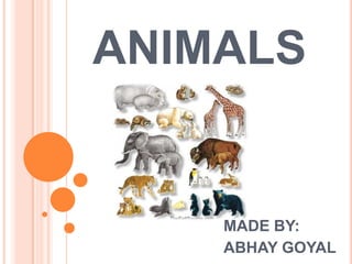 ANIMALS


    MADE BY:
    ABHAY GOYAL
 