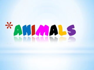 *ANIMALS
 