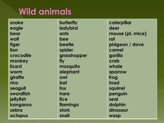 snake       butterfly     caterpillar
eagle       ladybird      deer
bear        ants          mouse (pl. mice)
wolf        bee           rat
tiger       beetle        pidgeon / dove
lion        spider        camel
crocodile   grasshopper   gorilla
monkey      fly           crab
lizard      mosquito      whale
worm        elephant      sparrow
giraffe     owl           frog
rino        bat           toad
seagull     fox           squirrel
swordfish   hare          penguin
jellyfish   lice          seal
kangaroo    flamingo      dolphin
zebra       stork         dinosaur
octopus     snail         wasp
 