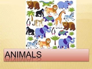 ANIMALS
 