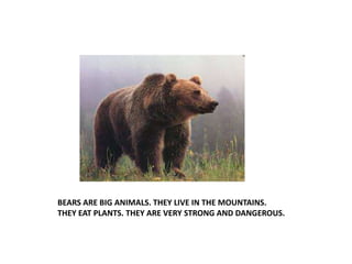 BEARS ARE BIG ANIMALS. THEY LIVE IN THE MOUNTAINS.
THEY EAT PLANTS. THEY ARE VERY STRONG AND DANGEROUS.
 