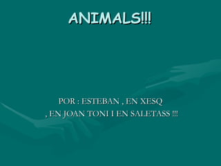 ANIMALS!!! POR : ESTEBAN , EN XESQ , EN JOAN TONI I EN SALETASS !!! 