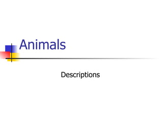 Animals   Descriptions  