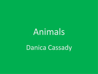 Animals Danica Cassady 