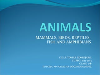 MAMMALS, BIRDS, REPTILES,
   FISH AND AMPHIBIANS.


               C.E.I.P. TOMÁS ROMOJARO.
                           CURSO: 2012-2013
                               CLASE. 2ºB
   TUTORA: Mª NATACHA DÍAZ HERNANDEZ
 