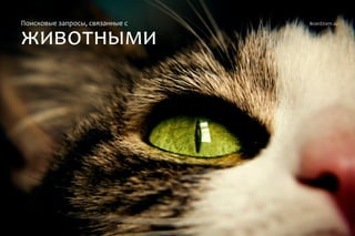 BrainStorm.su
животными
Поисковые запросы, связанные с
 
