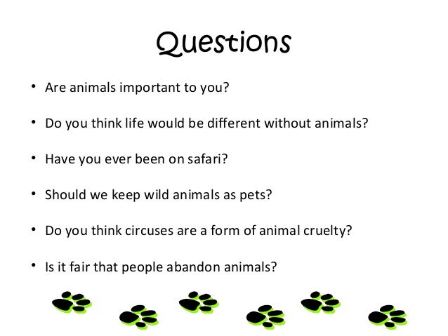 animals