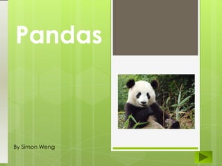 Pandas
By Simon Weng
 