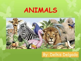 ANIMALS
By: Delkis Delgado
 