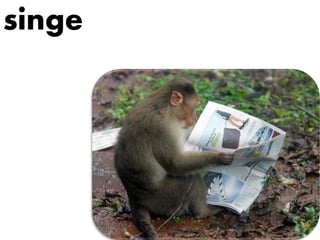 singe
 