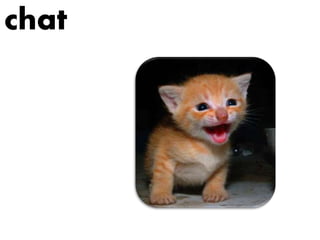 chat
 