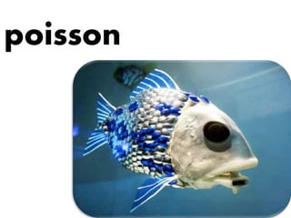 poisson
 
