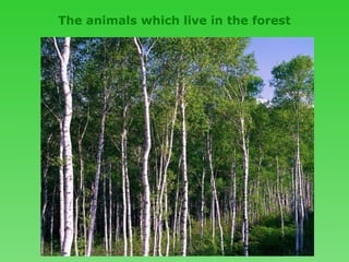 The animals which live in the forest
 