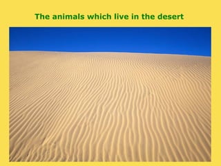 The animals which live in the desert
 