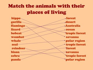 Match the animals with their
places of living
hippo forest
gorilla desert
flamingo Australia
lizard ocean
bobcat tropic forest
wombat savanna
whale polar region
seal tropic forest
reindeer forest
bison savanna
zebra tropic forest
panda polar region
 