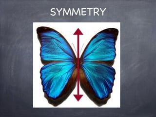 SYMMETRY

 