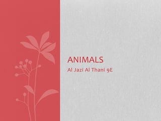 Al Jazi Al Thani 9E
ANIMALS
 