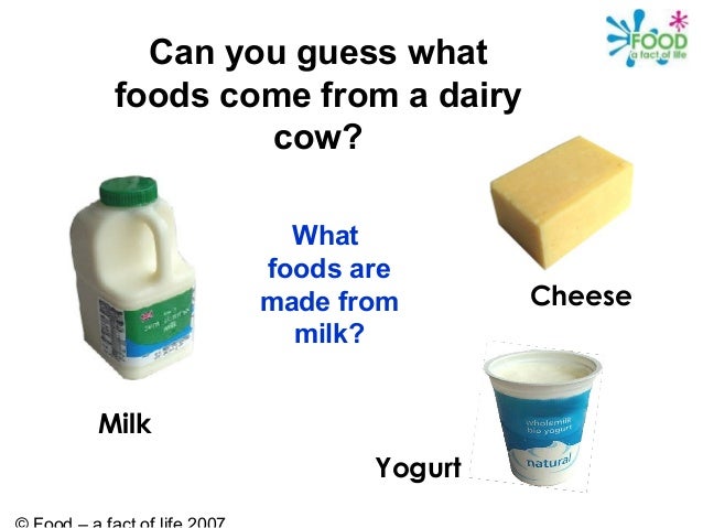food from animals