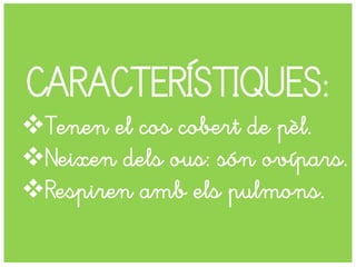 CARACTERÍSTIQUES:
Tenen el cos cobert de pèl.
Neixen dels ous: són ovípars.
Respiren amb els pulmons.
 