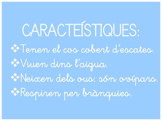 CARACTEÍSTIQUES:
Tenen el cos cobert d’escates.
Viuen dins l’aigua.
Neixen dels ous: són ovípars.
Respiren per brànquies.
 