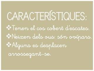 CARACTERÍSTIQUES:
Tenen el cos cobert d’escates.
Neixen dels ous: són ovípars.
Alguns es desplacen
arrossegant-se.
 