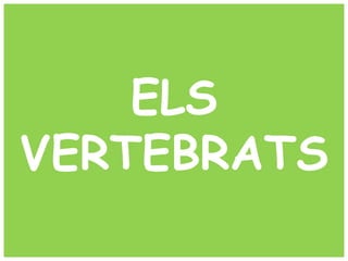 ELS
VERTEBRATS
 