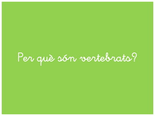 Per què són vertebrats?
 