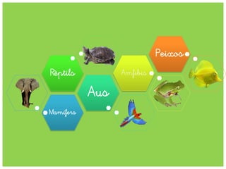 Mamífers
Aus
Rèptils Amfibis
Peixos
 