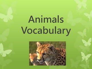 Animals
Vocabulary
 